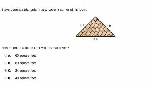Pls answer quick, I need an answer.

Steve bought a triangular mat to cover a corner of his room.