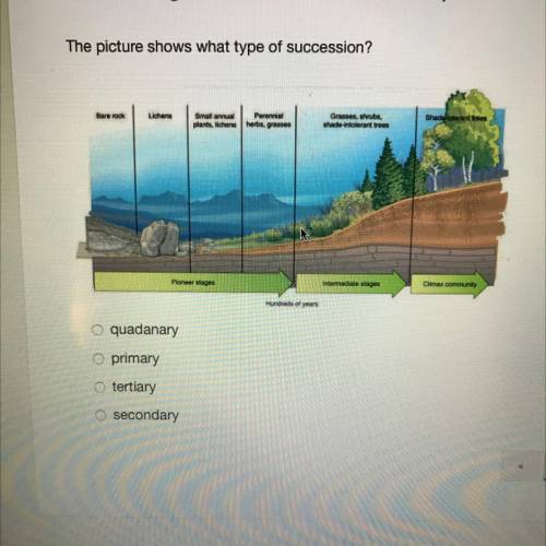 Quiz - Ecological Succession & Catastrophic Events

The picture shows what type of succession?
