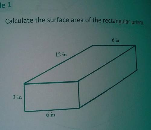 Calculate the surface area of the rectangle prism in the picture​