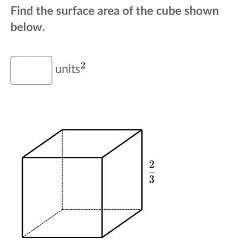 Find the surface area of the cube shown below. 2/3