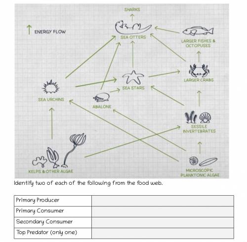 Identify two of each of following from the food web

Primary Producer 
Primary Consumer 
Secondary