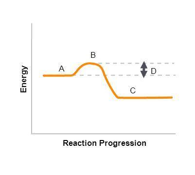 On the graph:

A represents the A)energy of reactants, B)energy of products, C)activation energy,