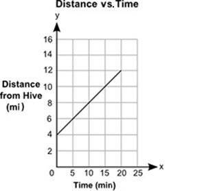 The graph below shows the distance, y, in miles, of a bee from its hive, for a certain amount of ti