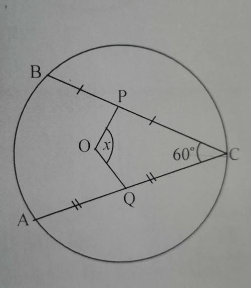 What is the value of x in the figure?A. 120°B. 140° C. 150°D. 160°​