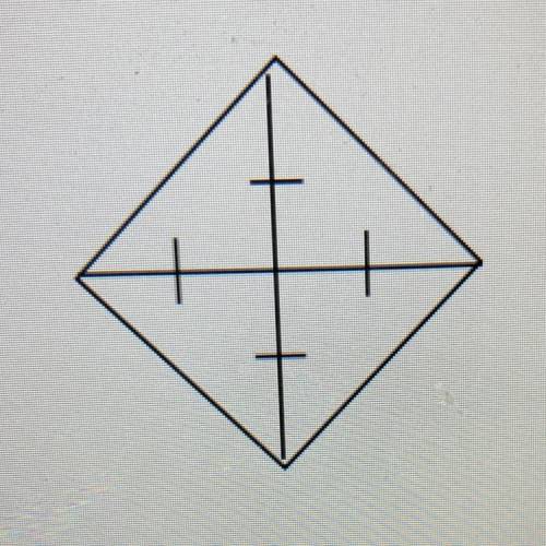 Is this a parallelogram