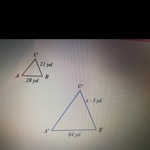 Both similar triangles , solve for x