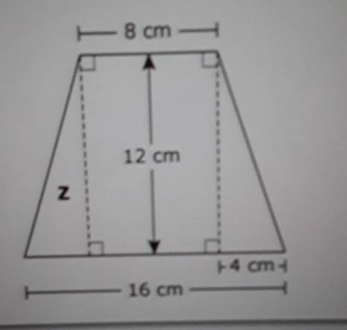 What is the area, in square centimeters, of triangle Z?​