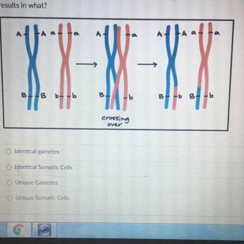 2. The process below is known as crossing over. Crossing over occurs in meiosis and

results in wh