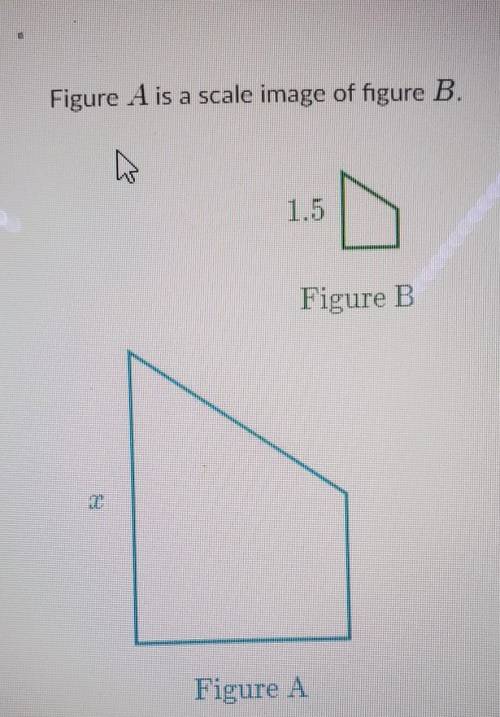 Figure A is a scale image of figure B​