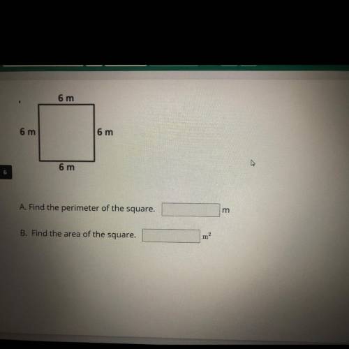 Can someone Please help me find the area of the square I already know the perimeter.