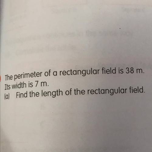 The perimeter of a rectangular field is 38 m. It’s width is 7 m.