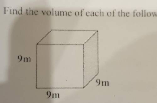 Find the volume of each of the following9m9m9m​