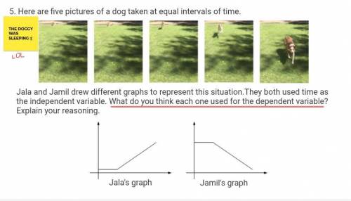 Here are five pictures of a dog taken at equal intervals of time.

Jala and Jamil drew different g