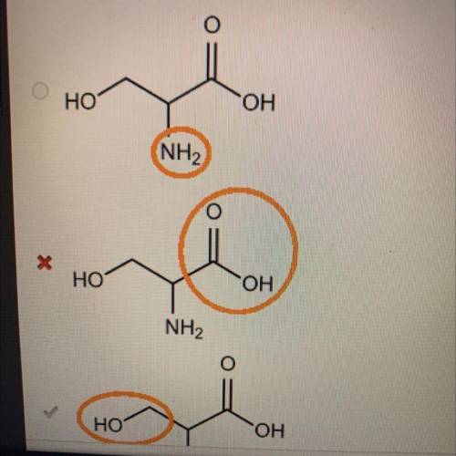 What is the R group in the amino acid serine ?

For the homies 
Check the pic out 
It’s CCCCCCCCCC