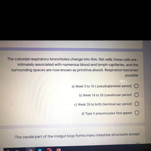 Can someone help me with this question plz?