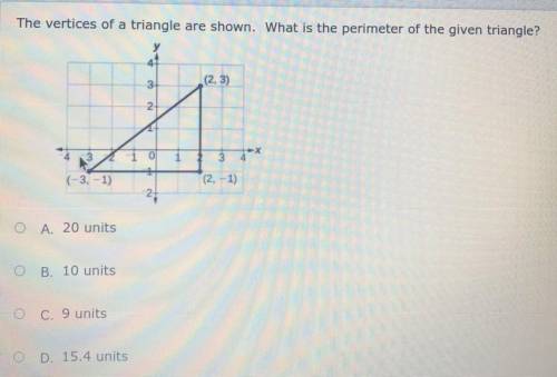 Someone pls help me with this question
