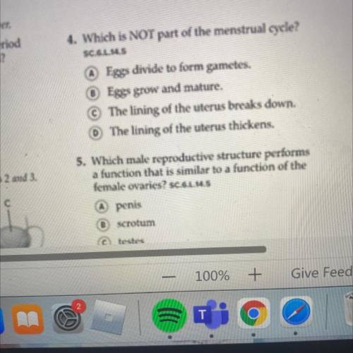 Yo can someone answer these please its for class work thanks JUST NUMBER 4 I will mark brainliest
