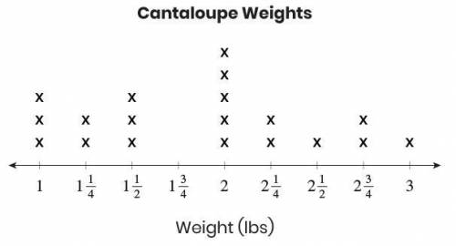 Item 3

Josh weighed cantaloupes he picked from his garden. This line plot shows the cantaloupe we