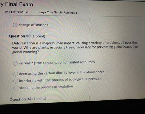 Question 33
Final exammm help plz