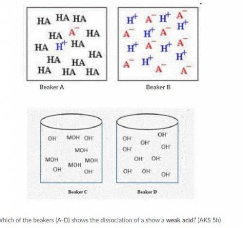 Which of the beakers (A-D) shows the dissociation of a show a weak acid?