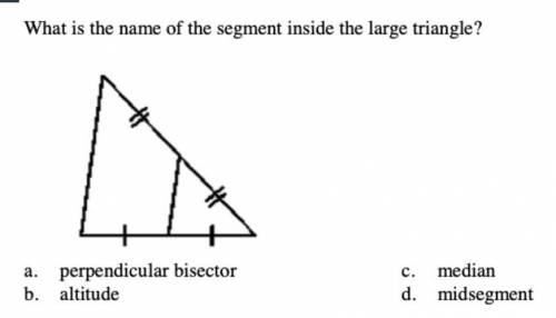 What is the name of the segment inside the large triangle