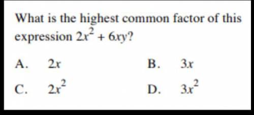 Plz answer this ASAP I need help