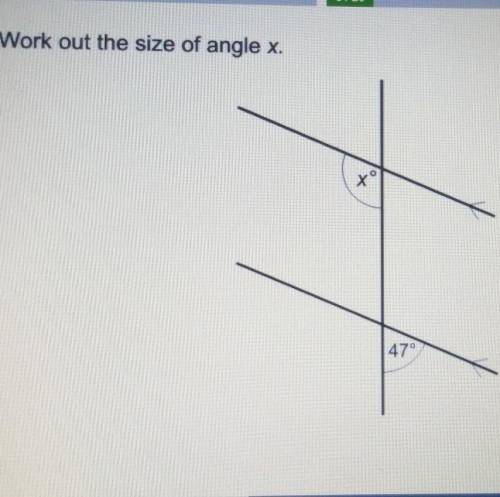 Work out the size of angle x​