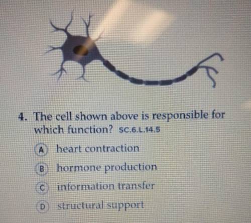 4. The cell shown above is responsible for which function? sc.6.L.14.5 A heart contraction B hormon