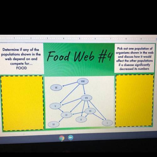 Determine if any of the

populations shown in the
web depend on and
compete for... FOOD
Pick out o