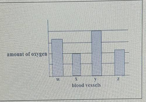 He diagram shows how blood circulates. The bar chart shows the amount of oxygen in blood at

ositi