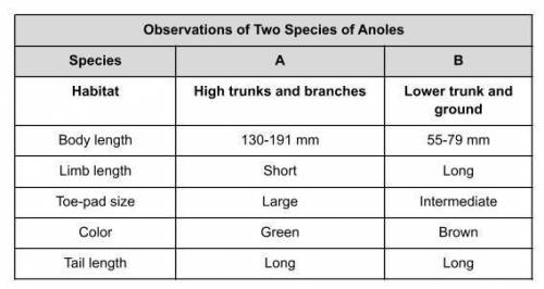 Using the data table above, choose one way that these species are different from each other. Then,