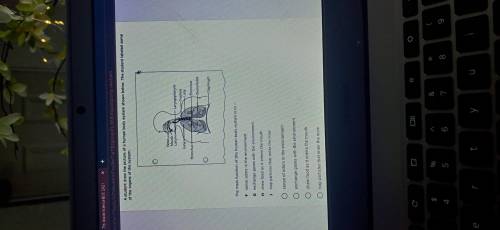 A student drew the picture of a human body system shown below
Pls help its due today