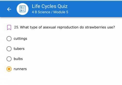 What type of asexual reproduction do strawberries use?