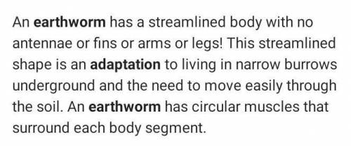 Adaptive features of Earthworm​