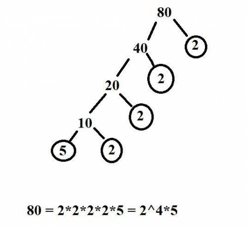 Express 80 as the product of its prime factors.Write the prime factors in ascending order.​
