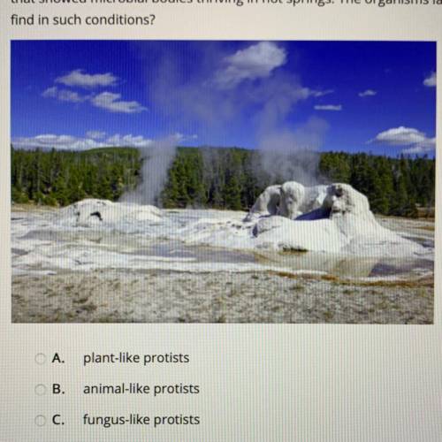 Juan received a class assignment to write about organisms that live in extreme environments. While