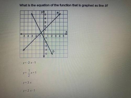 What is the equation of the function that is graphed as line b?

y = -2 x - 1
y = x + 1
y = 3 x
y