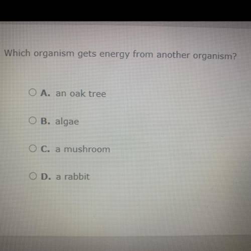 1pt Which organism gets energy from another organism?

O A. an oak tree
O B. algae
O C. a mushroom