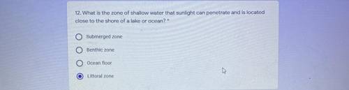 What is the zone of a shallow water that sunlight can penetrate and is located close to the shore o