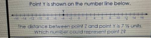 Which number could represent point Z