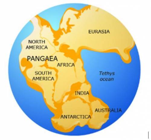Study the image. The image shows how scientists think the continents were joined long ago. Scientis