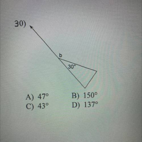 Find the measure for angle b