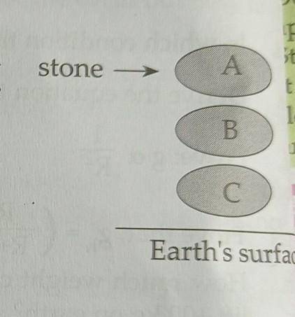 Look at the alongside figure. A stone is dropped from certain height. study the alongside figure an