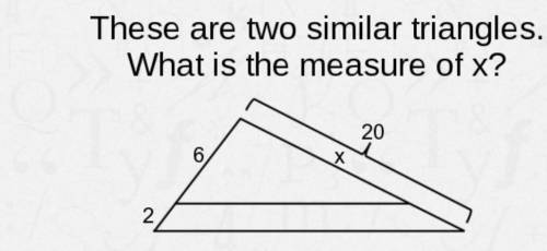 There are two similar triangles. what is the measure of x?