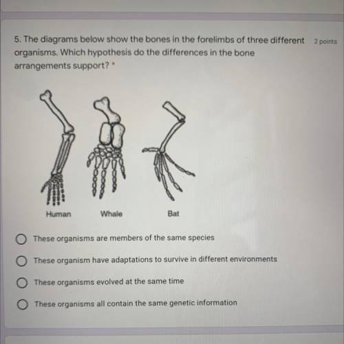 5. The diagrams below show the bones in the forelimbs of three different

organisms. Which hypothe