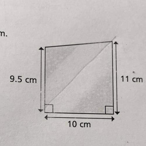 Calculate the perimeter of the trapezium.

Give your answer to 1 decimal place.
11-cm
9.5 cm
10 cm