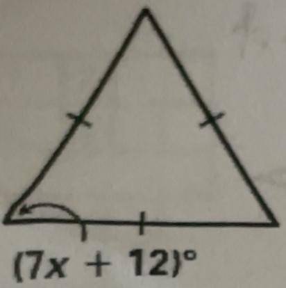 Help me please what is the answer? What is x?