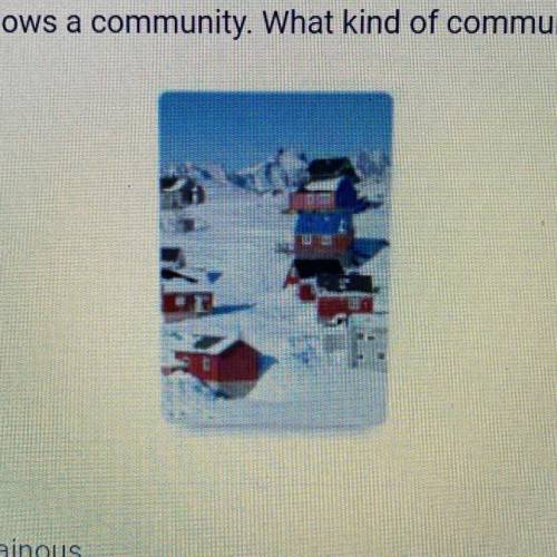 The photograph shows a community. What kind of community is shown?

A. Mountainous
B. Metropolitan