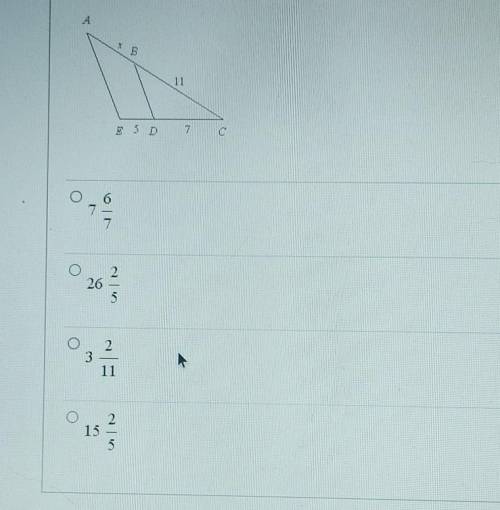 What is the value of x, given that AE || BD?​