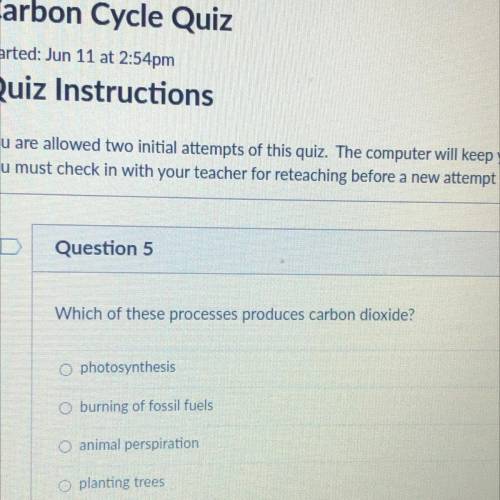 Which process produces co2?